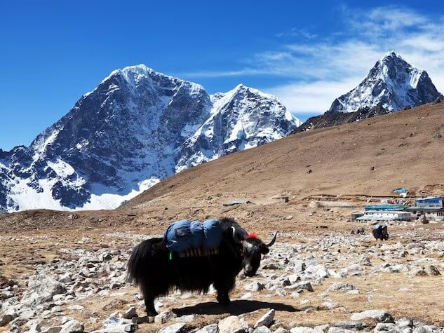 Annapurna Region